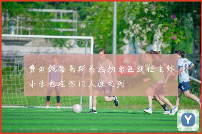 费利佩路易斯或成切尔西新任主帅小法也在热门人选之列