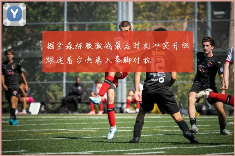 掘金森林狼激战最后时刻冲突升级球迷看台也卷入拳脚对抗