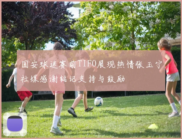 国安球迷赛前TIFO展现热情张玉宁社媒感谢铭记支持与鼓励