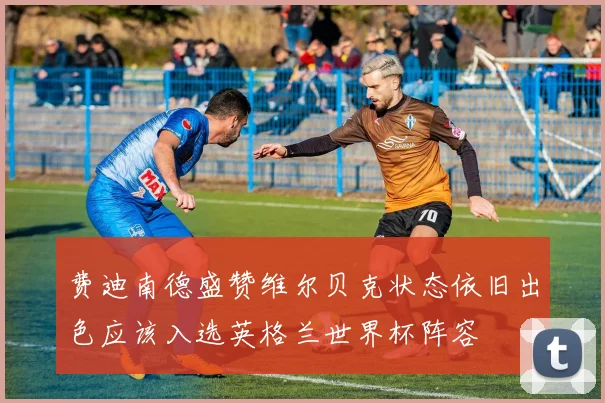 费迪南德盛赞维尔贝克状态依旧出色应该入选英格兰世界杯阵容